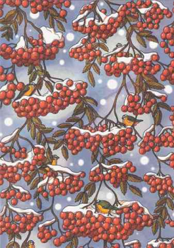 Rowanberry winter