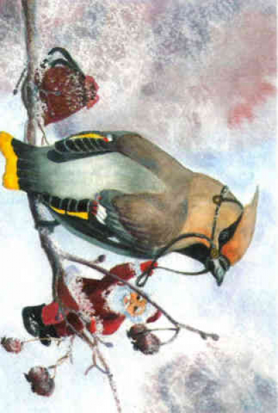 The bullfinch rest