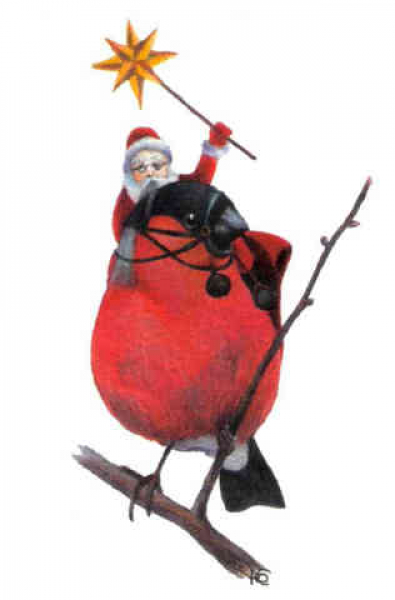 The bullfinch rider