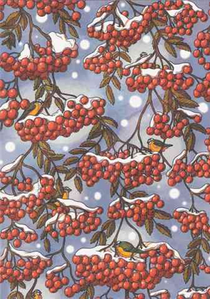 Rowanberry winter